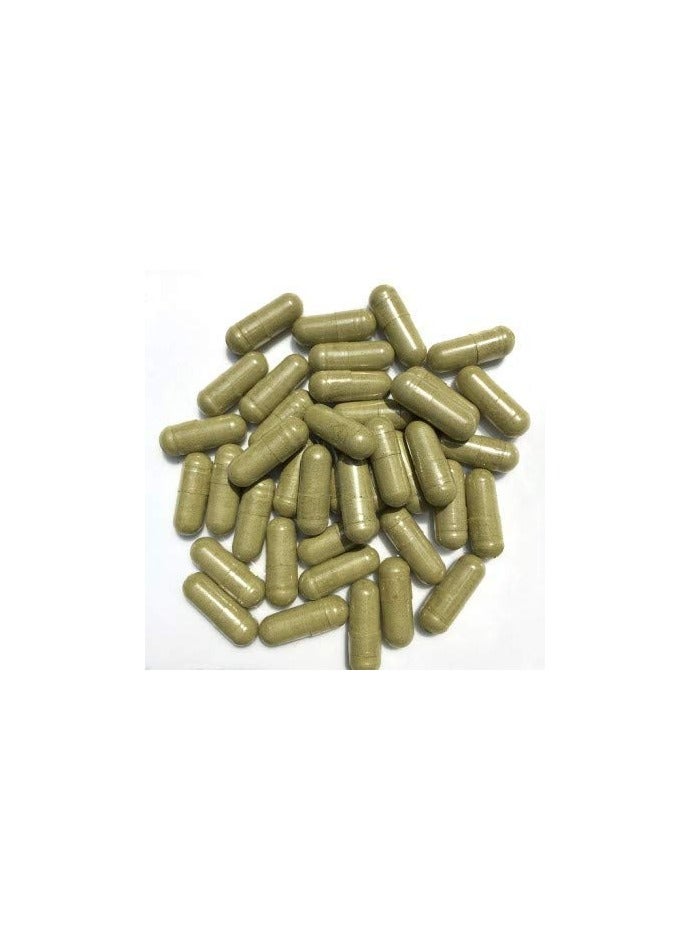 Neotea Keelanelli Capsules | Bhumi Amla | Chanca Piedra | Capsule Phyllanthus Niruri with Pure Natural Extracts | All Natural, Pure Herbs | 500 MG - 100 Capsules - Image 2