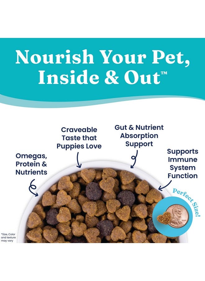 solid gold - Solid Gold Dry Puppy Food w/Nutrientboost - Made with Real Chicken & Nutritious Superfoods - Love at First Bark Grain Free Puppy Dry Food for Healthy Growth, Energy and Gut Wellness - 3.75 LB Bag - Image 1