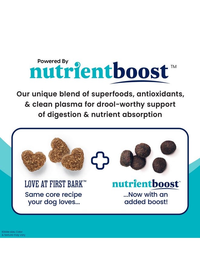 solid gold - Solid Gold Dry Puppy Food w/Nutrientboost - Made with Real Chicken & Nutritious Superfoods - Love at First Bark Grain Free Puppy Dry Food for Healthy Growth, Energy and Gut Wellness - 3.75 LB Bag - Image 1