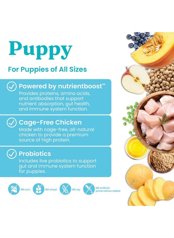 solid gold - Solid Gold Dry Puppy Food w/Nutrientboost - Made with Real Chicken & Nutritious Superfoods - Love at First Bark Grain Free Puppy Dry Food for Healthy Growth, Energy and Gut Wellness - 3.75 LB Bag - Image 1