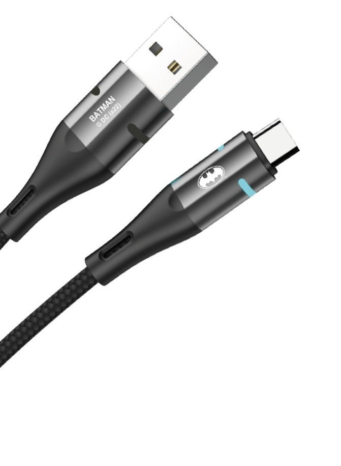 باتمان كابل شحن سريع من النوع C - Image 3