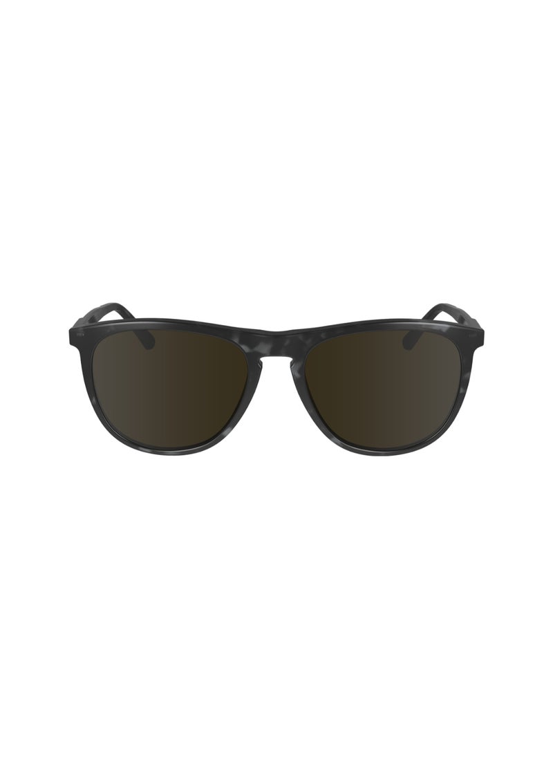 CALVIN KLEIN FULL RIM ACETATE AVIATOR CALVIN KLEIN SUN CK24508S  5518 (017) BLACK HAVANA  - Image 1