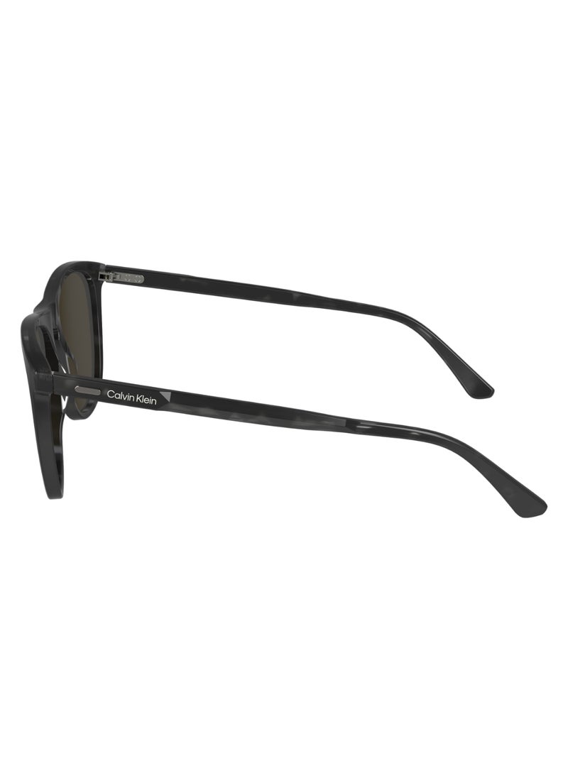 CALVIN KLEIN FULL RIM ACETATE AVIATOR CALVIN KLEIN SUN CK24508S  5518 (017) BLACK HAVANA  - Image 4