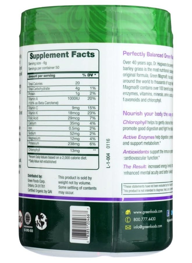 Green Foods Green Magma Usa Og2 10.6 Oz  - Image 3