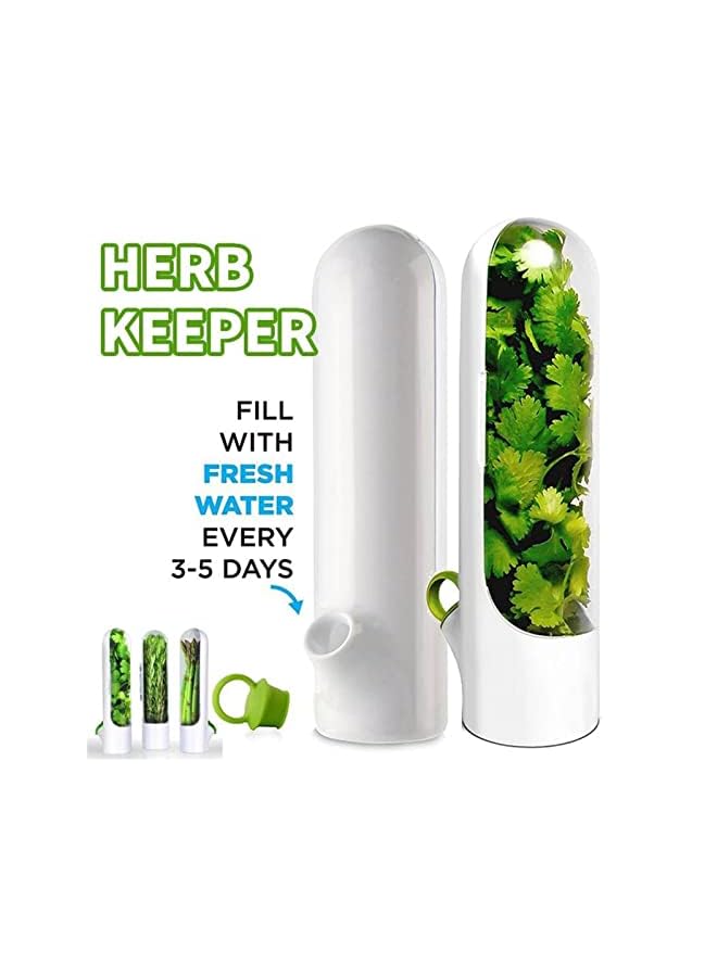 IAF Herb Keeper,U-HOOME Kitchen Fresh Herb Saver Keeper, Herb Storage Container for Cilantro, Mint, Parsley, Asparagus, Keeps Greens Fresh for 2-3 weeks - Image 3