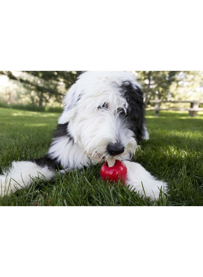 KONG - Ziggies - Teeth Cleaning Dog Treats Classic Rubber Toys - Chicken Flavor for Small Dogs (7 Ounce) - Image 4