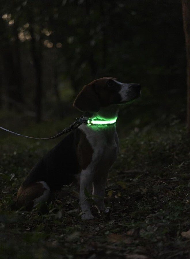 دوغنس طوق كلاب مضيء بتقنية LED من Dogness، طوق مضيء للمشي الليلي، طوق كلاب قابل لإعادة الشحن عبر منفذ USB يتوهج في الظلام للتخييم الآمن (متوسط - أسود) - Image 2