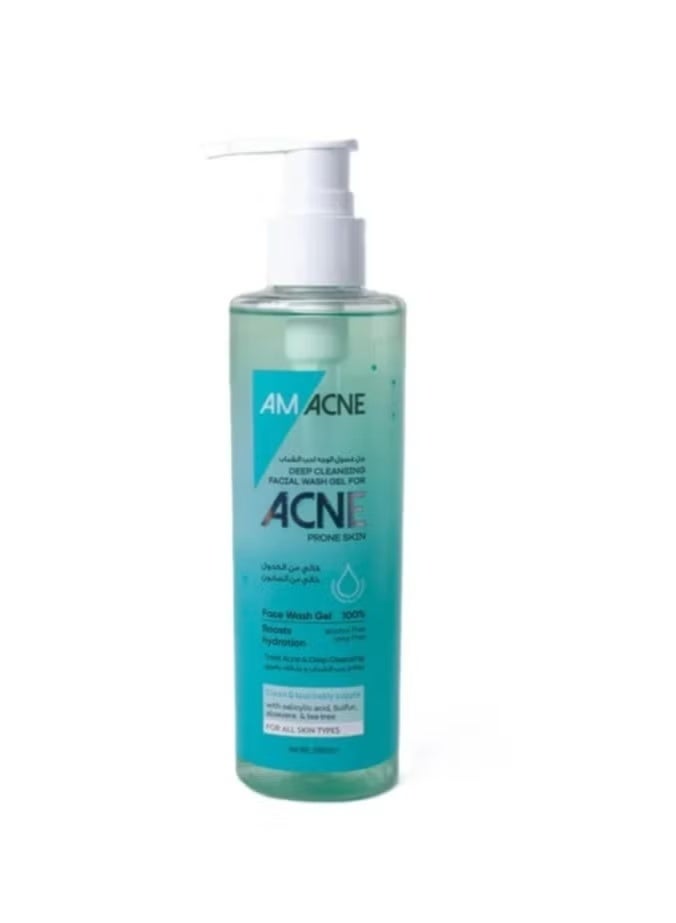 جل غسول الوجه AM ACNE للتنظيف العميق 200 مل | للبشرة المعرضة لحب الشباب | مع حمض الساليسيليك والكبريت والصبار وشجرة الشاي | خالٍ من الصابون والكحول | غسول يومي لطيف ومرطب ومنظف بعمق للوجه