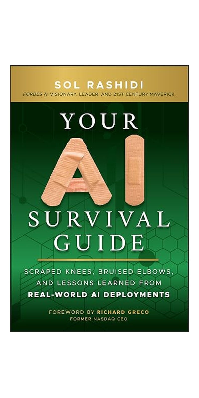 Your AI Survival Guide : Scraped Knees, Bruised Elbows, and Lessons Learned from Real-World AI Deployments