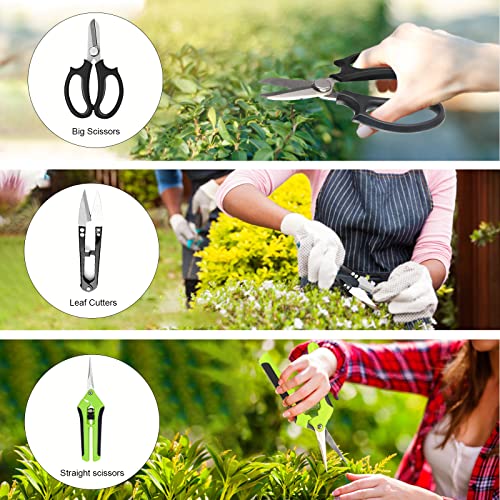 Taschyas Bonsai Tree Kit, 20 Pcs Gardening Succulent Tools Set, Bonsai Tool Kit Include 262 Feet Bonsai Wire, 29.5"x29.5" Plant Repotting Mat, Bonsai Scissors, Pruning Shears, Unique Gift for Indoor Gardening - Image 4