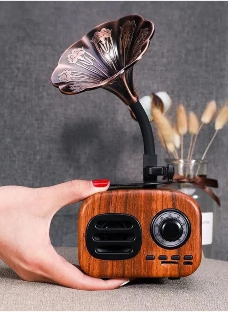 DLC - 2 in 1 Wireless Bluetooth Speaker with FM Radio and MP3 Music.  Attractive and distinctive shape    It is connected to the mobile and any smart device (such as tablets, iPads..) via Bluetooth.  Plays - Image 1