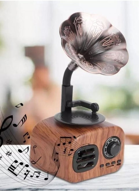 2 in 1 Wireless Bluetooth Speaker with FM Radio and MP3 Music.  Attractive and distinctive shape    It is connected to the mobile and any smart device (such as tablets, iPads..) via Bluetooth.  Plays