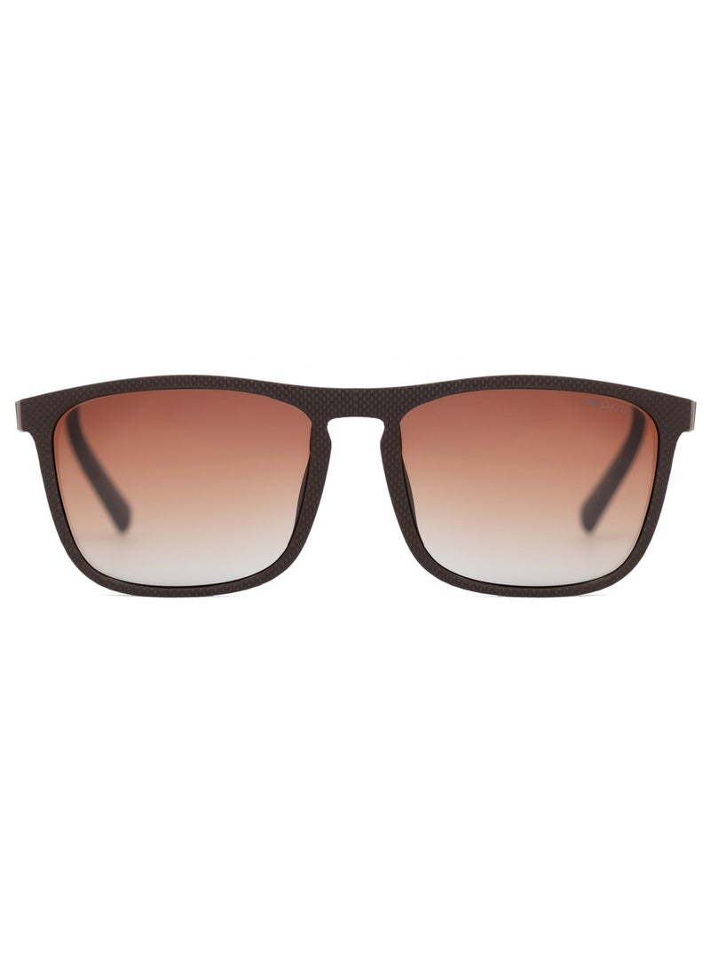 VEGAS Men's Sunglasses V2065S - Brown  - Image 2