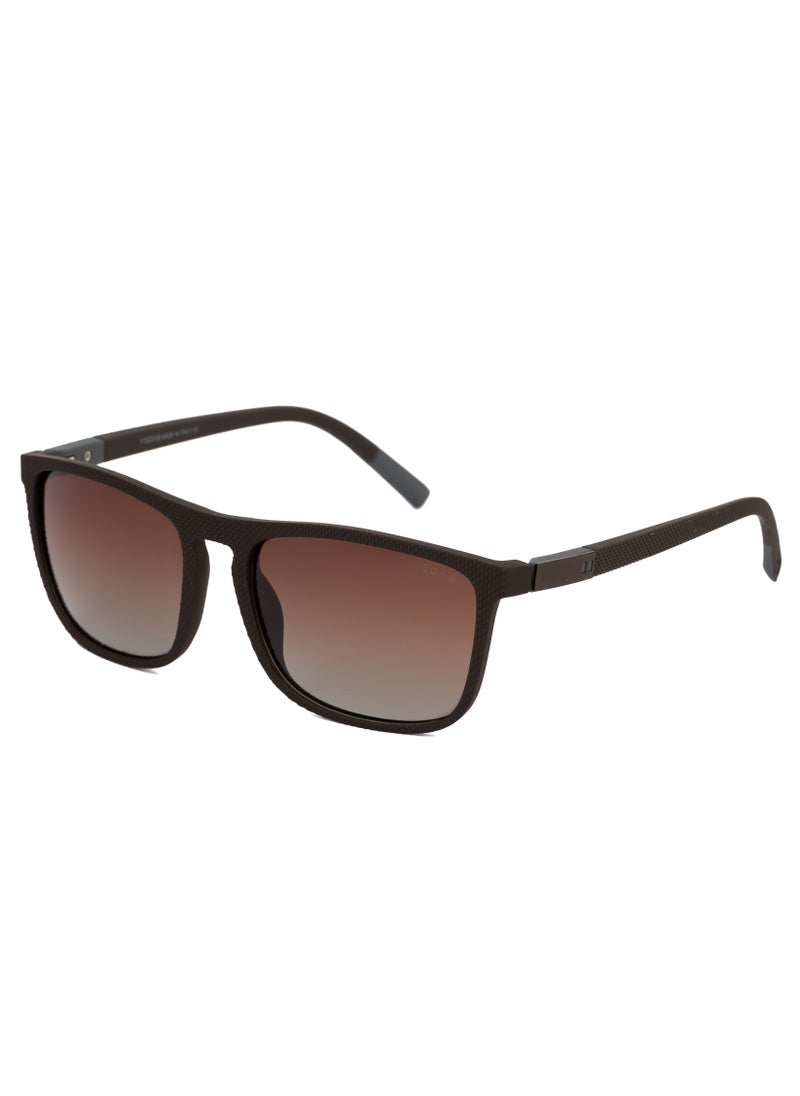 VEGAS Men's Sunglasses V2065S - Brown  - Image 3