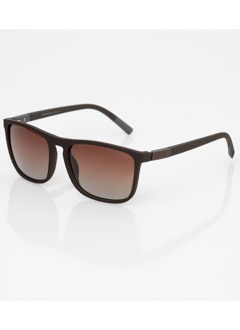 VEGAS Men's Sunglasses V2065S - Brown  - Image 1