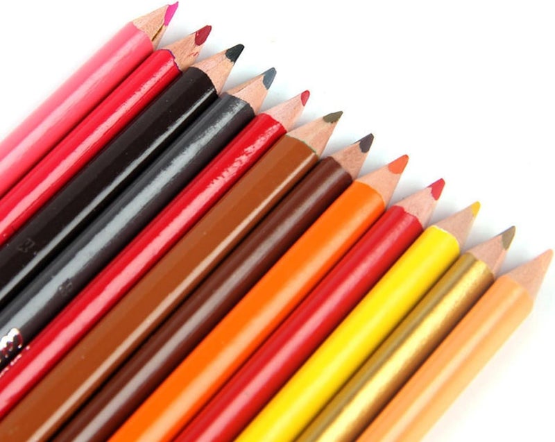 53 Arts 53ARTS 12Pcs Double-headed Colored Pencil (24 Colors) Art Set Colour Pencil Kid Drawing Tools School Office Supplies,1 Box - Image 2