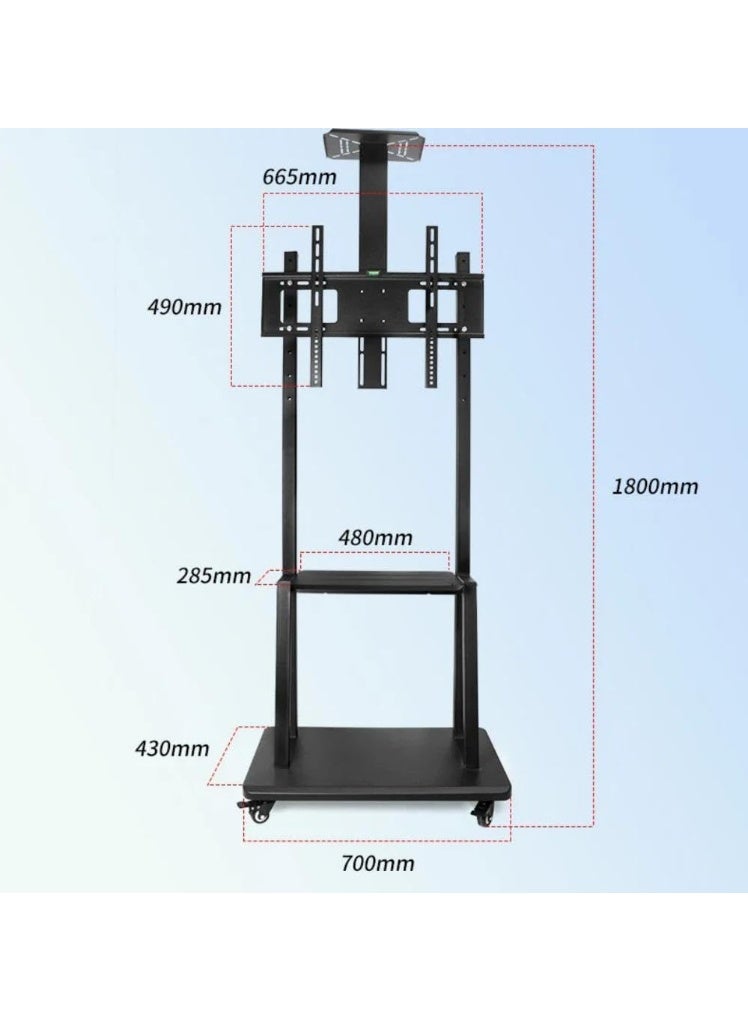 BrandTech Premium Heavy-Duty Mobile TV Stand Cart for 32–75 Inch TVs, Height Adjustable Rolling Floor TV Mount with Lockable Casters, 2-Tier AV Shelves, Max VESA 600×400 - Image 3