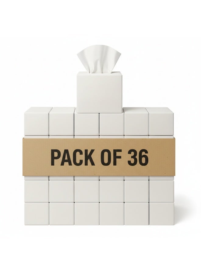 Ambiente مناديل وجه (مكعب) 100 ورقة عبوة من 36 + لفائف ورق تواليت - صنع في إيطاليا عبوة من 120 مجموعة - Image 2