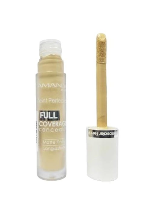 Amanda Milano Teint Perfection Full Coverage Concealer 06