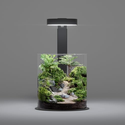 LANDEN Miniature Terrarium Glass Jar Kit – Complete DIY Mini Landscape Set with Ultra-Clear Glass Container, LED Light, Decorative Stones & Planting Tools – Ideal for Home Decor, Gifts & Hobbyists - Image 1