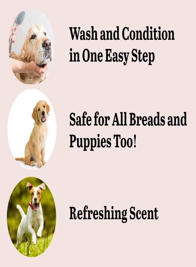 swacch Beagle Dog Shampoo I Puppy Safe Shampoo I pH Balanced I Shine and Smooth Hair 1 Litre Strawberry - Image 2