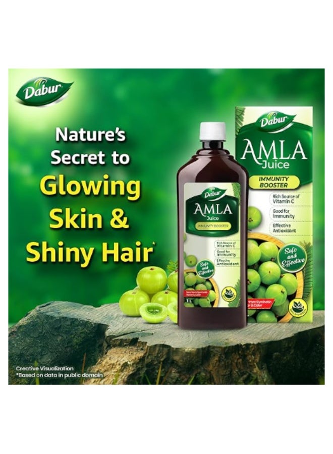 Dabur Amla Juice 1L | Rich in Vitamin C & Antioxidants | Ayurvedic Immunity Support Drink - Image 4