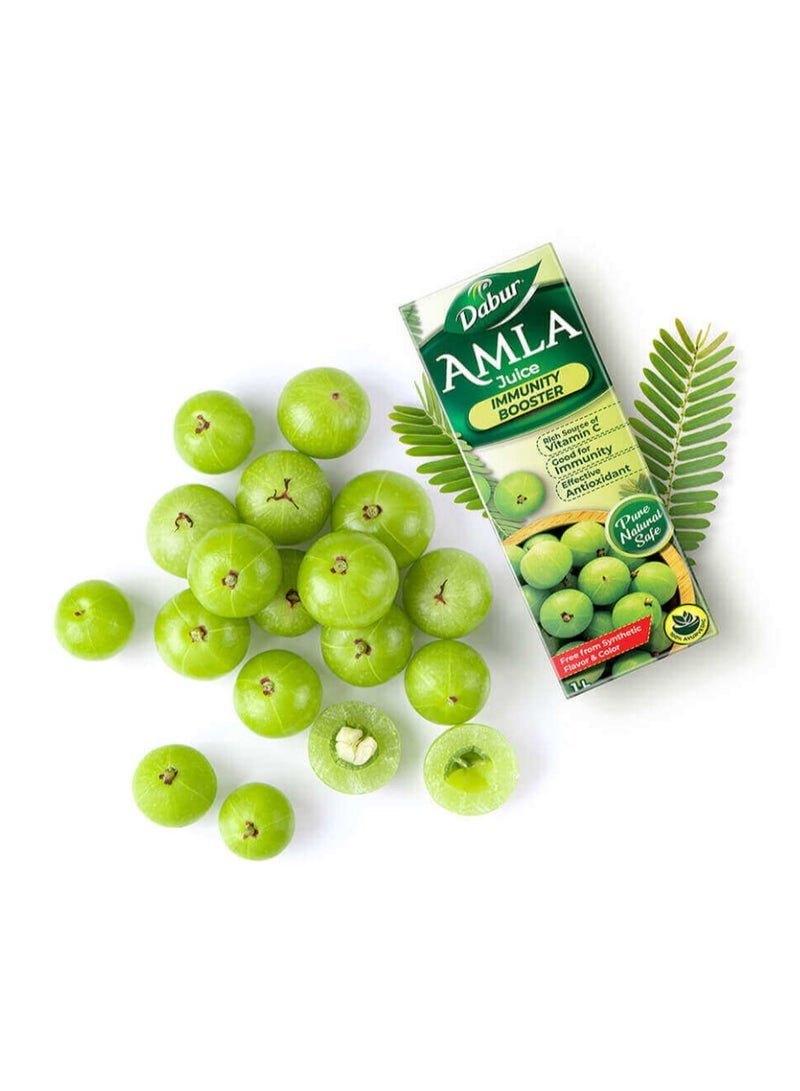 Dabur Amla Juice 1L | Rich in Vitamin C & Antioxidants | Ayurvedic Immunity Support Drink - Image 1