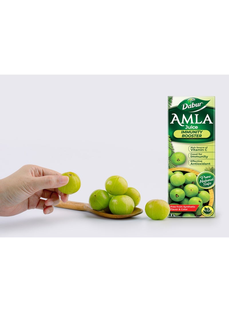Dabur Amla Juice 1L | Rich in Vitamin C & Antioxidants | Ayurvedic Immunity Support Drink - Image 2