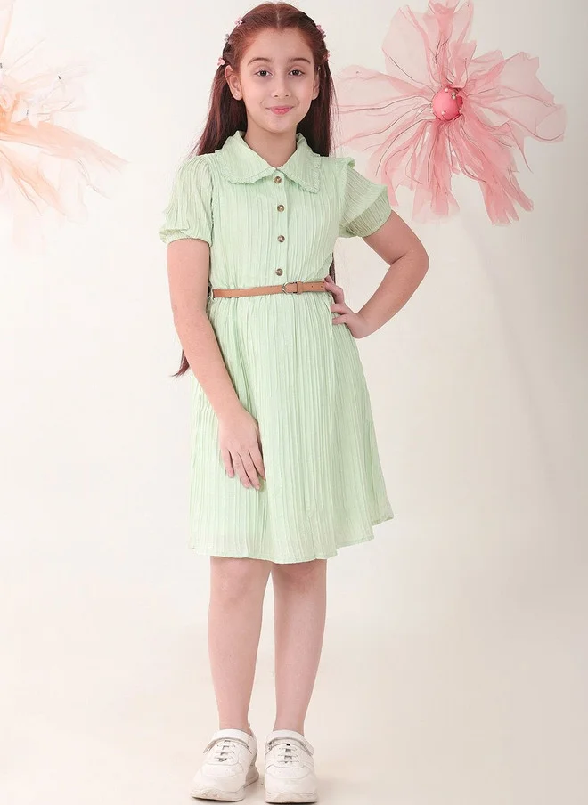 Bonkids BONKIDS Green Satin Fit & Flare Dress with Shirt Collar