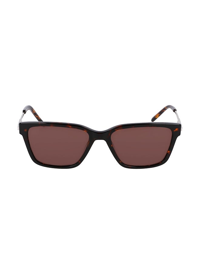DKNY Full Rim Acetate Tea Cup Sun Dk713S (V3) Mat Amber  - Image 1