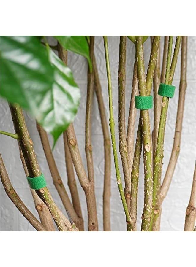 Generic Reusable Plant Ties, Garden Tape for Plant, Adjustable Garden Vines Plant Ties, Gentle Plant Ties, Tomato Tape, Indoor Outdoor Gardening Supplies | 66 ft (2 Rolls 50ft) by 1/2 Inch | Green  - Image 4