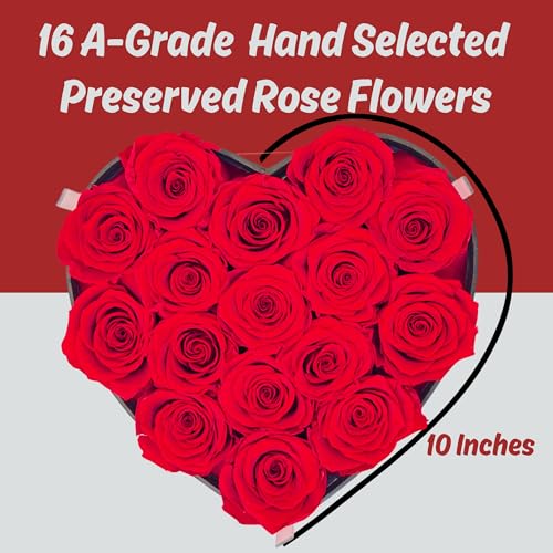 Confetti Sky 16 Forever Roses in Luxury Heart Box - Real Preserved Flowers Last 3 to 5 Years, for Mothers Day, Anniversary, Birthday, Valentine’s Day - Image 3