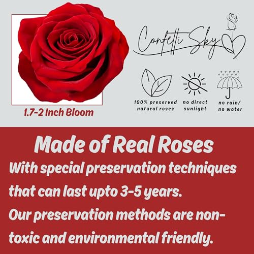 Confetti Sky 16 Forever Roses in Luxury Heart Box - Real Preserved Flowers Last 3 to 5 Years, for Mothers Day, Anniversary, Birthday, Valentine’s Day - Image 2