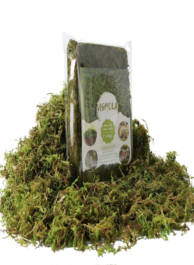 USMOLA Fake Green Moss for Potted Plants, 4OZ Artificial Moss for DIY Crafts, Faux Moss for Table Centerpieces Fairy Garden Decor (Fresh Green 140gr) - Image 1