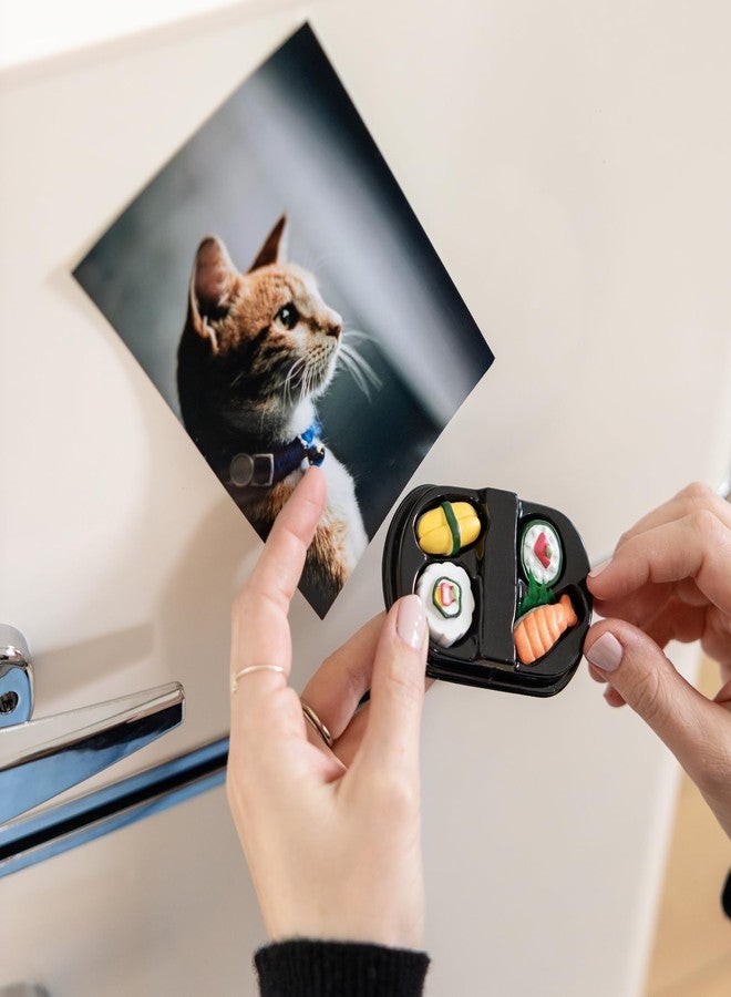 Three by Three Seattle Colorful Sushi Magnets | Adorable, Strong, and Perfectly Sized, Backed with Mighties Magnets, Hand-Painted | Two 4-Packs (8 Total) in Iconic Packaging - Image 3