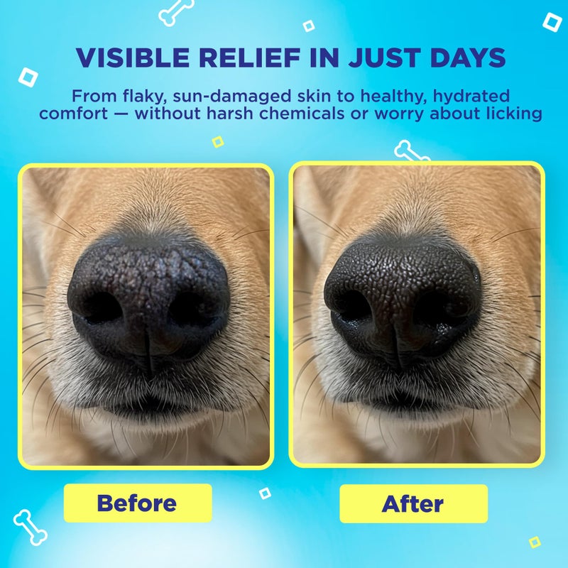 Handy Hound SnoutScreen - All-Natural Organic Vet-Recommended Dog Nose balm and Paw Balm with Natural Sunscreen - Made in the USA Protect Your Dog from Harmful UVB/UVC Rays - 2 oz - Image 3