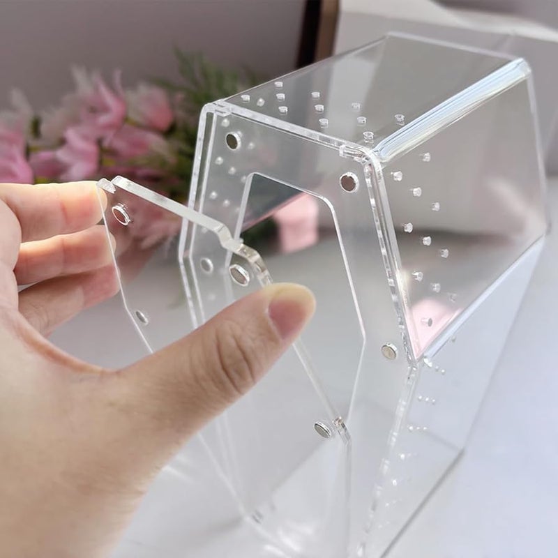 حاوية الرتيلاء الشجرية الأكريليكية الشفافة لحيوانات الزواحف والبرمائيات الأليفة - Image 4