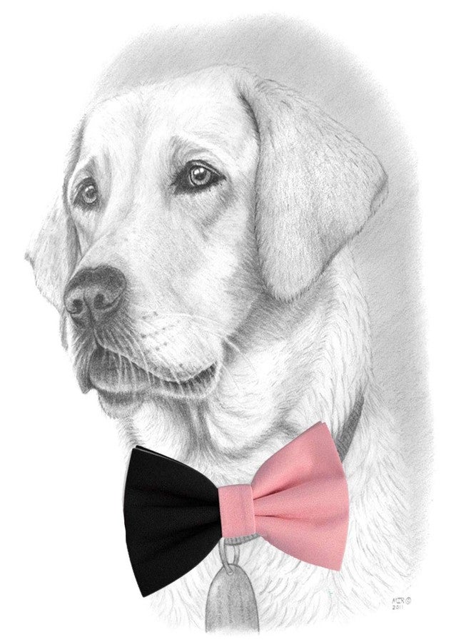 RR Design Red Dog Bow Tie/Dog Bow-tie/Dog Gift Dog in Tuxedo(Adjustable) (Pink & Black, Large) - Image 2