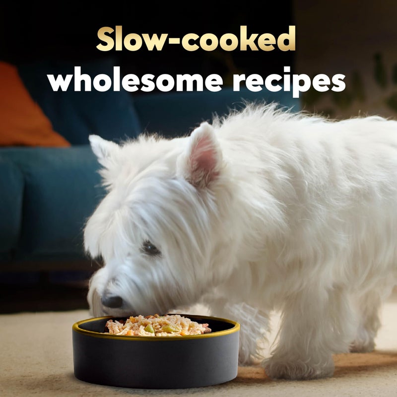 Cesar Wholesome Bowls Adult Wet Dog Food, Chicken, Carrots, Barley & Green Beans Recipe, Wet Food for Dogs, 3 Oz. Bowls, 10 Count - Image 3