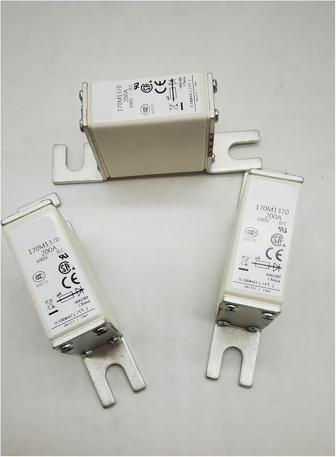 Silver Fuse 170M1373 170M1372 170M1371 170M1369 170M1368 170M1367 170M1370 - Image 1