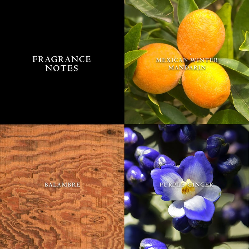 John Varvatos Men's Cologne, Artisan Eau de Toilette EDT Spray, Woody Citrus Scent with Notes of Mexican Winter Mandarin, Purple Ginger & Balambre, 4.2 fl oz - Image 2