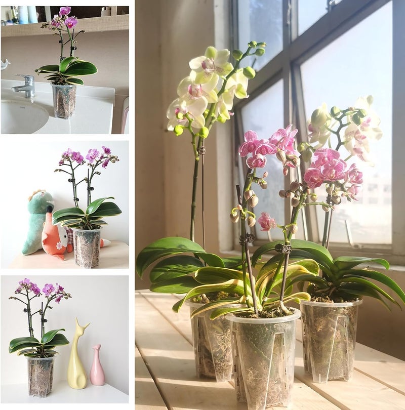 Bukela Orchid Pots, 6 Pack Orchid Pots for Repotting, Clear Nursery Pots with Drainage, 10cm X 12cm Sturdy Clear Plastic Orchid Pot, Flower Plant Pot for Orchids Planter - Image 4