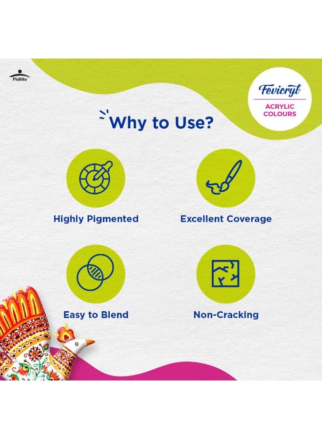 Fevicryl Acrylic Colour White 500ml | Art & Craft, DIY, Rich Pigment, Non-Craking Paint for Canvas, Wood, Leather, Earthenware, Metal | Ideal for school projects, Hobbyists, Artists - Image 2