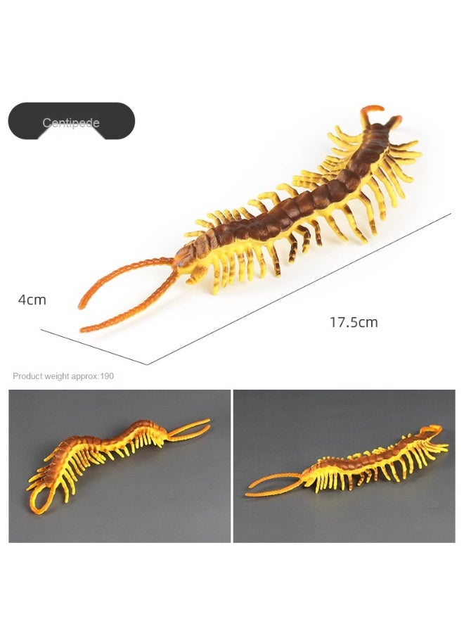 NIBEMINENT Children's Realistic Insect Toy Models
