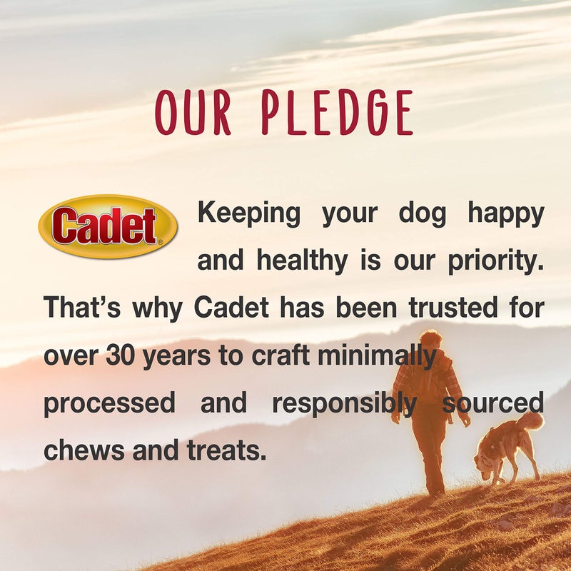 Cadet Premium Grade Pressed Beef Hide Bones, Long Lasting Rawhide Dog Chews, 6.5 Inch (12 Count) - Image 5