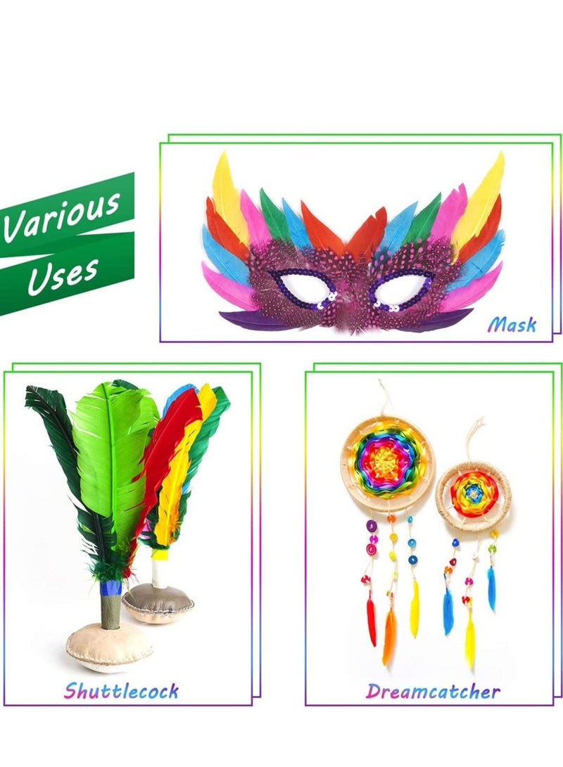 Colorful Feathers 600 Pcs, 12 Colors Crafts Goose for DIY Earrings Craft Home Wedding Baby Shower Decorations Dream Catcher Hat Jewelry Cloths Bag Earring Accessories  - Image 3