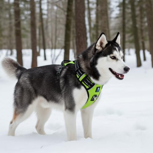 HANK Dog Harness | 4 Adjustable Buckles | Strong Metal Hook | 3M Reflective Strap | Soft Handle | Dog Chest Belt for Large Dogs (Neon Green - XL (35-65Kg) - Image 3