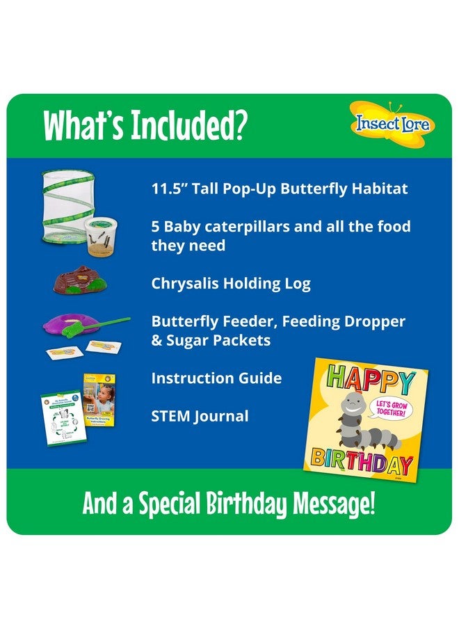 Insect Lore Insect Lore Butterfly Garden with Giant Birthday Card | 5 Live Baby Caterpillars | STEM Journal, Habitat, Chrys-A-Lid, Feeder | Raise and Release Painted Lady Butterflies - Image 3