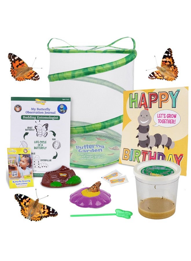 Insect Lore Insect Lore Butterfly Garden with Giant Birthday Card | 5 Live Baby Caterpillars | STEM Journal, Habitat, Chrys-A-Lid, Feeder | Raise and Release Painted Lady Butterflies - Image 1