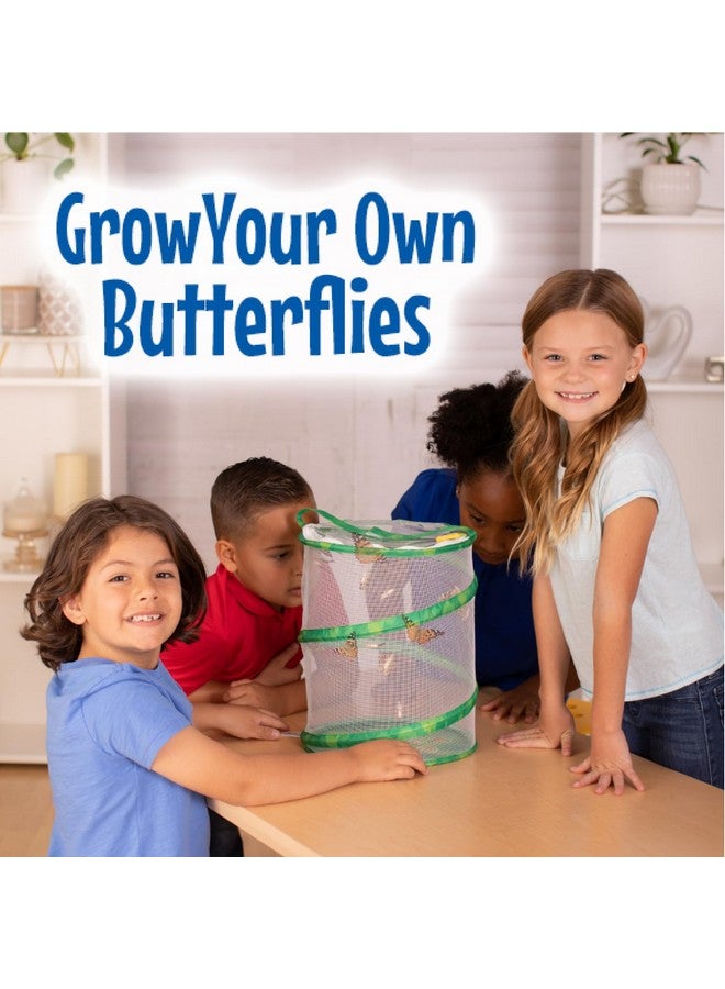 Insect Lore Insect Lore Butterfly Garden with Giant Birthday Card | 5 Live Baby Caterpillars | STEM Journal, Habitat, Chrys-A-Lid, Feeder | Raise and Release Painted Lady Butterflies - Image 4